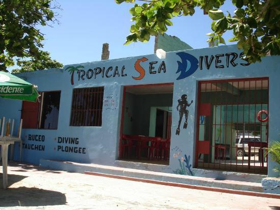 Tropical Sea Divers
